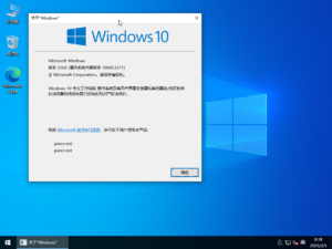 Windows10_x64_19045.6812_技术员装机纯净专业版（20260310更新）