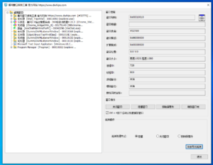 盾网窗口探测工具
