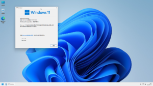 Windows11_x64_26200.8117_技术员装机纯净专业版（20260408更新）
